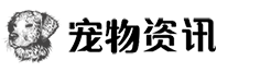 (自适应手机端)响应式宠物资讯类网站模板 宠物博客经验网站